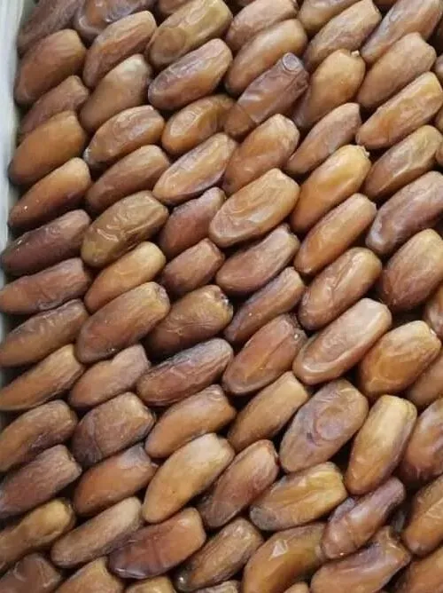 خرما