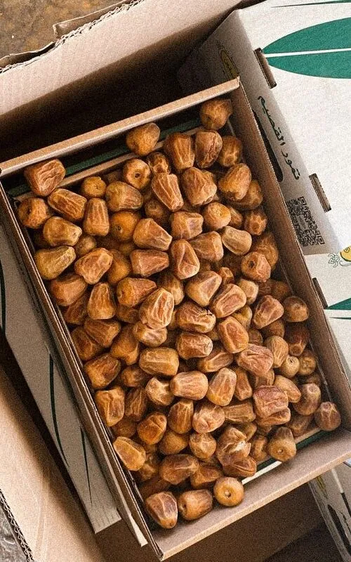خرما