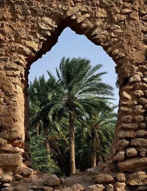 نخل
