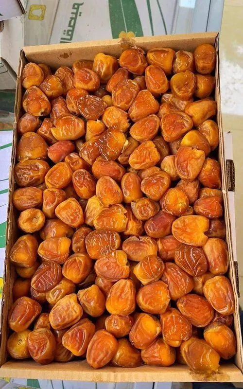 خرما