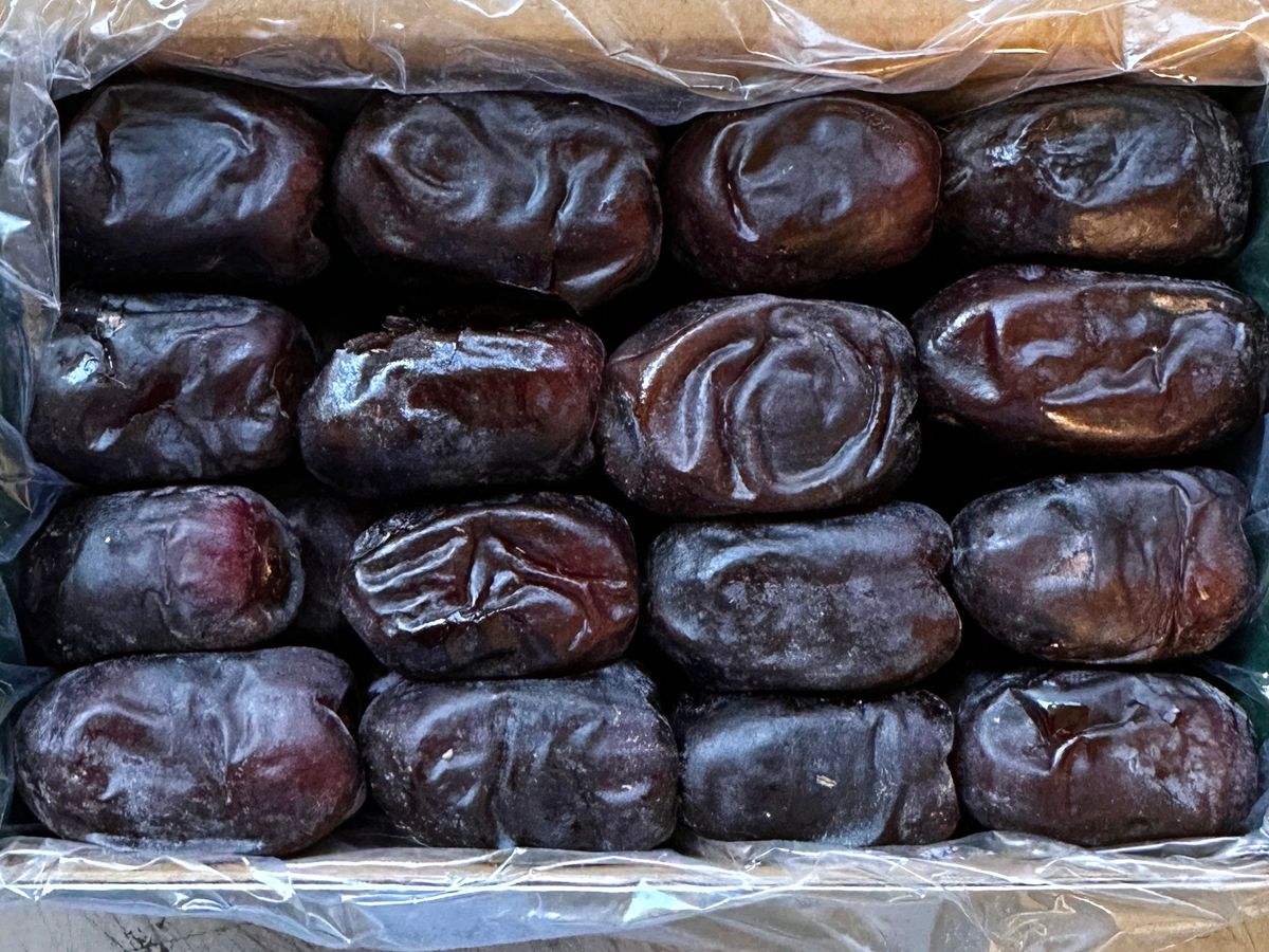 خرمای مضافتی بم 